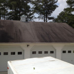 Roof Cleaning Before Bishopville, SC